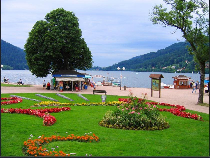 Appt 3* Le Haut Des Lacs 克松吕-隆日梅 外观 照片